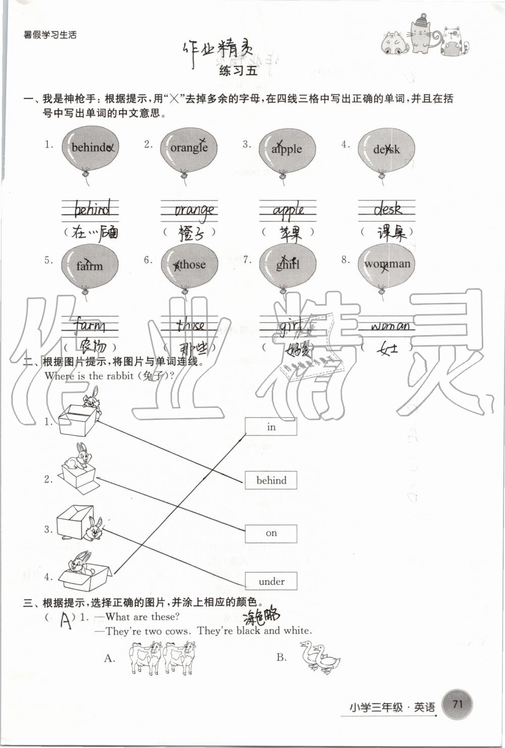 2019年暑假学习生活小学三年级译林出版社 第71页