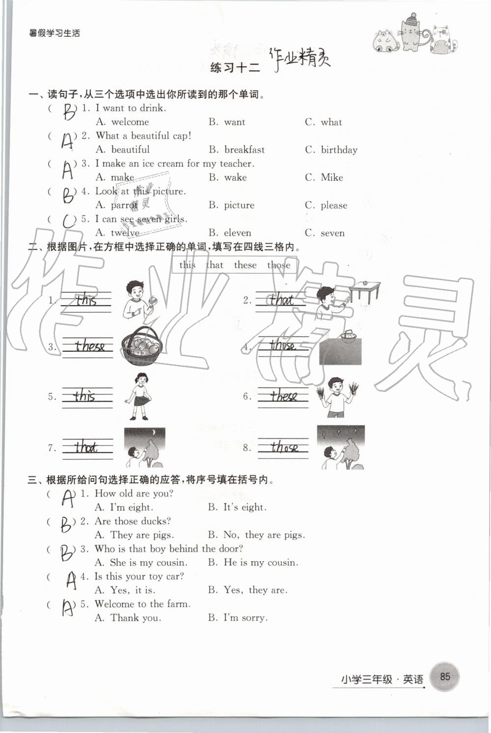 2019年暑假學(xué)習(xí)生活小學(xué)三年級譯林出版社 第85頁