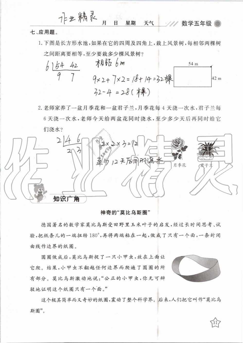 2019年湘岳假期暑假作业五年级数学苏教版 第31页