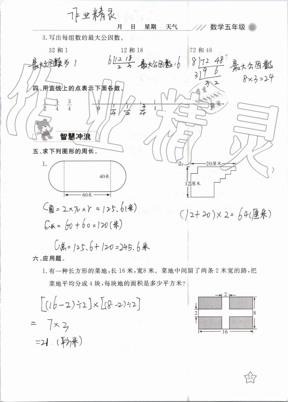 2019年湘岳假期暑假作业五年级数学苏教版 第55页