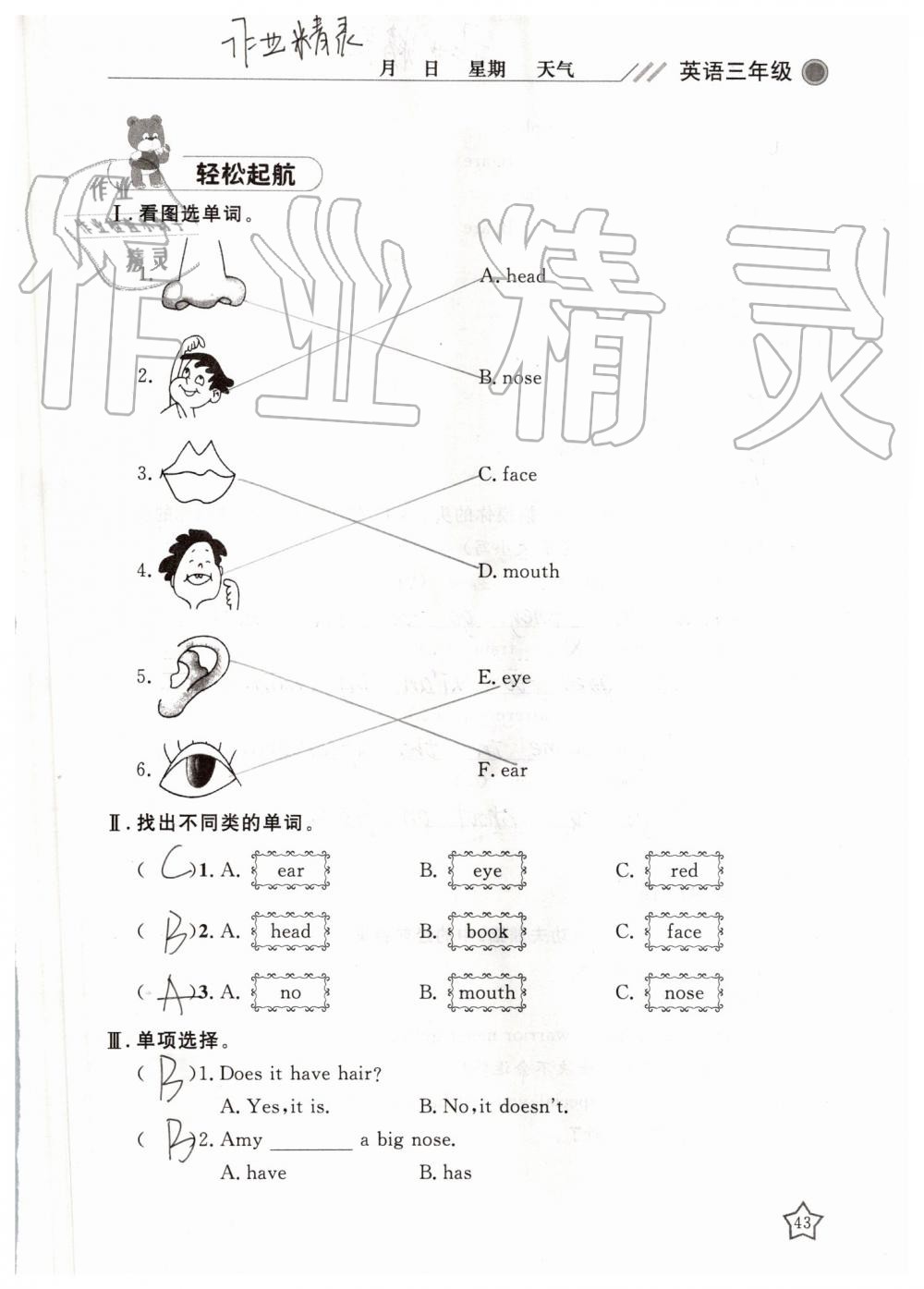 2019年湘岳假期暑假作业三年级英语陕旅版 第43页