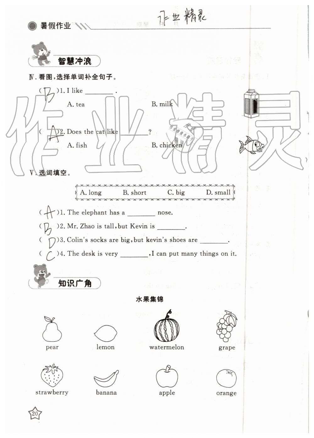 2019年湘岳假期暑假作业三年级英语陕旅版 第20页