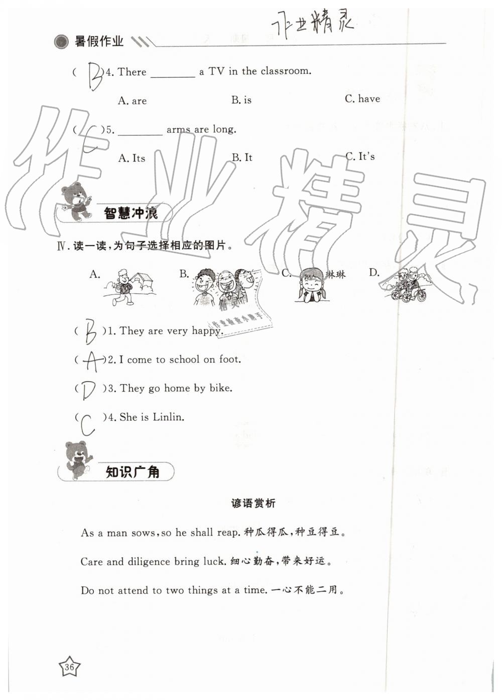 2019年湘岳假期暑假作业三年级英语陕旅版 第36页