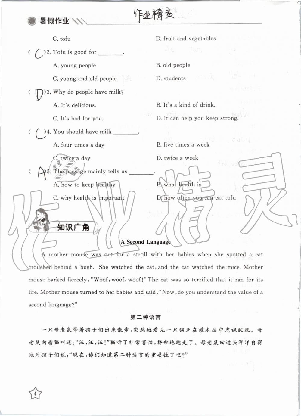 2019年湘岳假期暑假作业八年级英语人教版 第4页