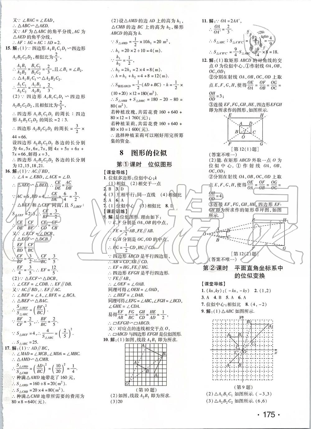 2019年點(diǎn)撥訓(xùn)練九年級(jí)數(shù)學(xué)上冊(cè)北師大版 第18頁