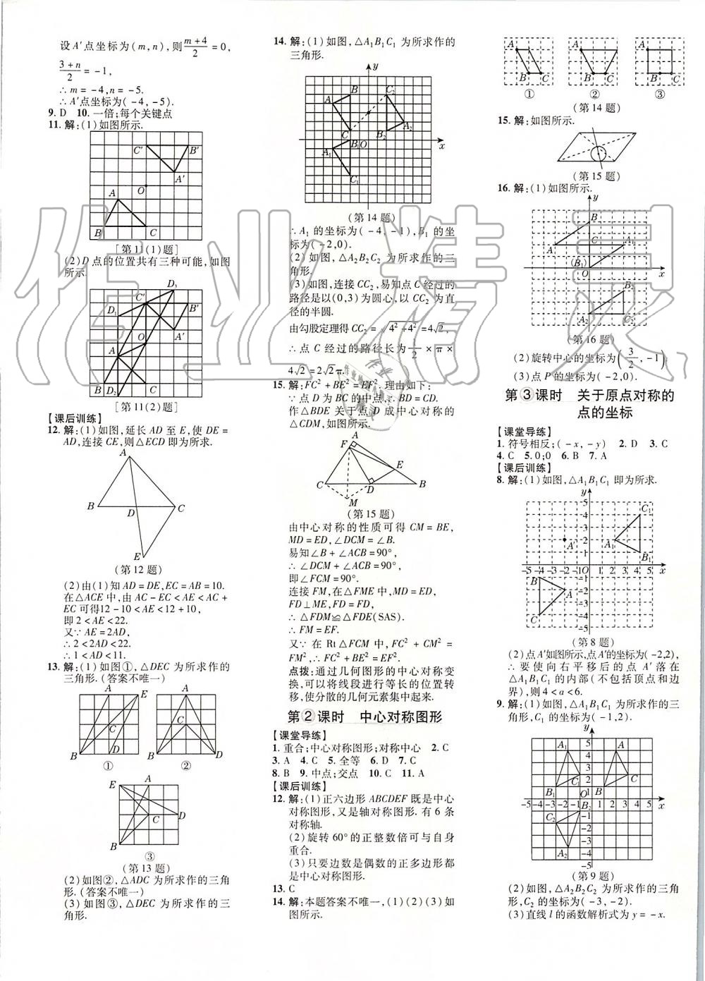 2019年點撥訓(xùn)練九年級數(shù)學(xué)上冊人教版 第17頁