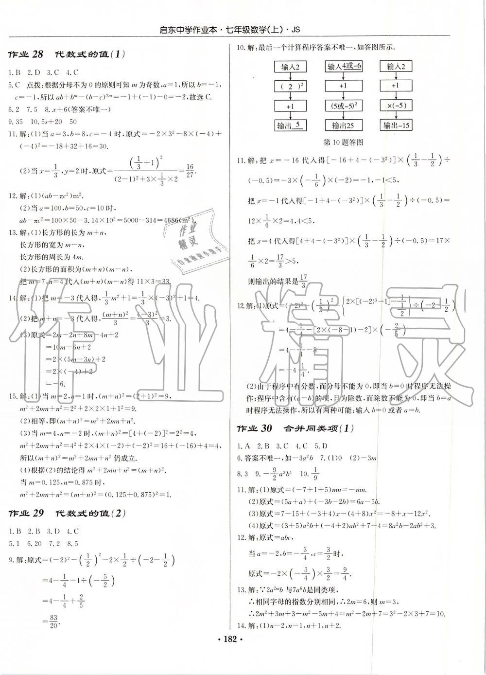 2019年启东中学作业本七年级数学上册江苏版 第12页