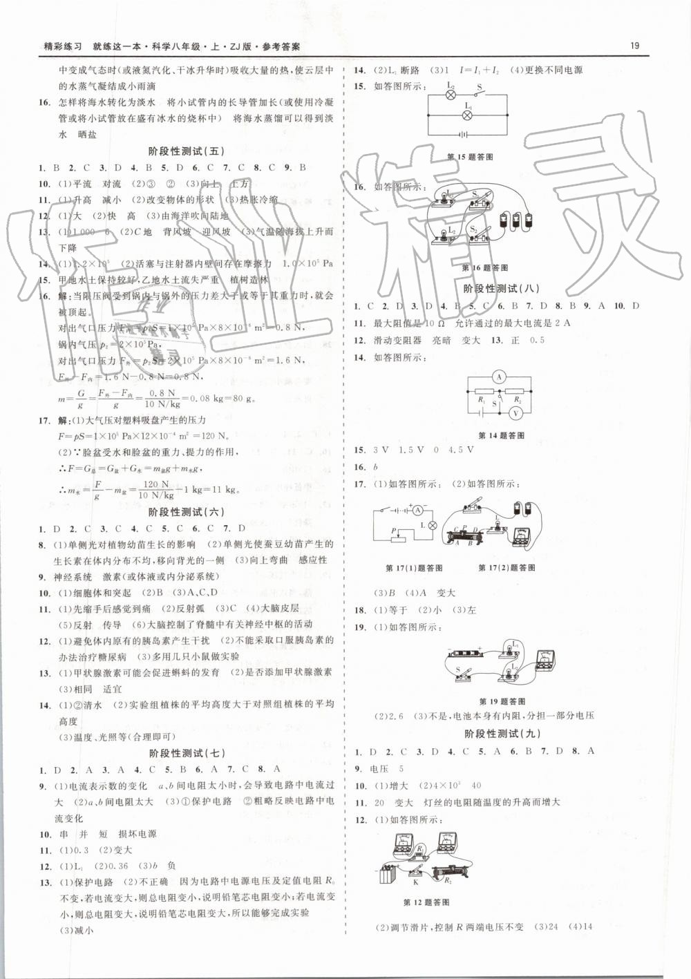 2019年精彩練習就練這一本八年級科學上冊浙教版 第19頁