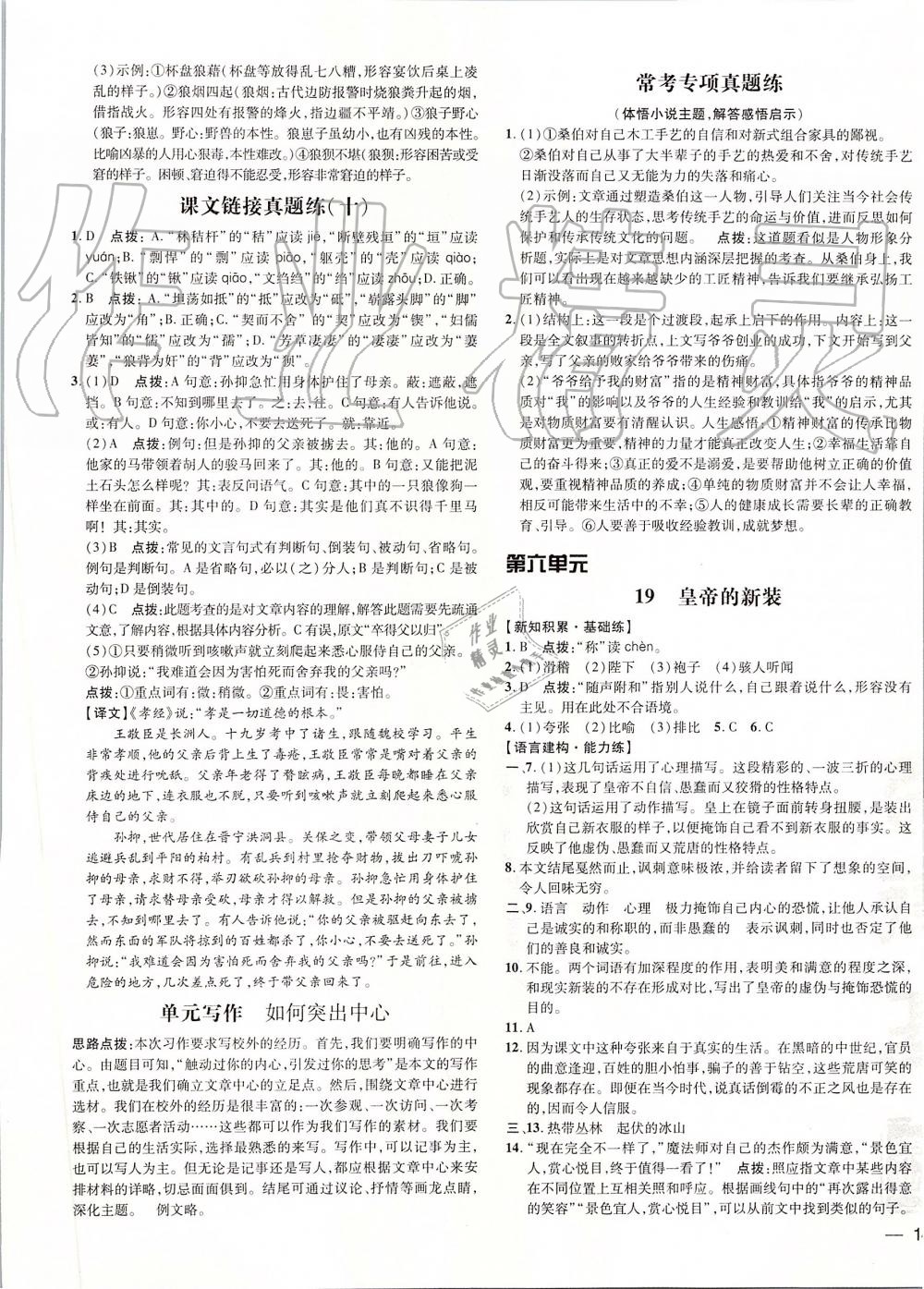 2019年點(diǎn)撥訓(xùn)練七年級(jí)語文上冊人教版 第17頁