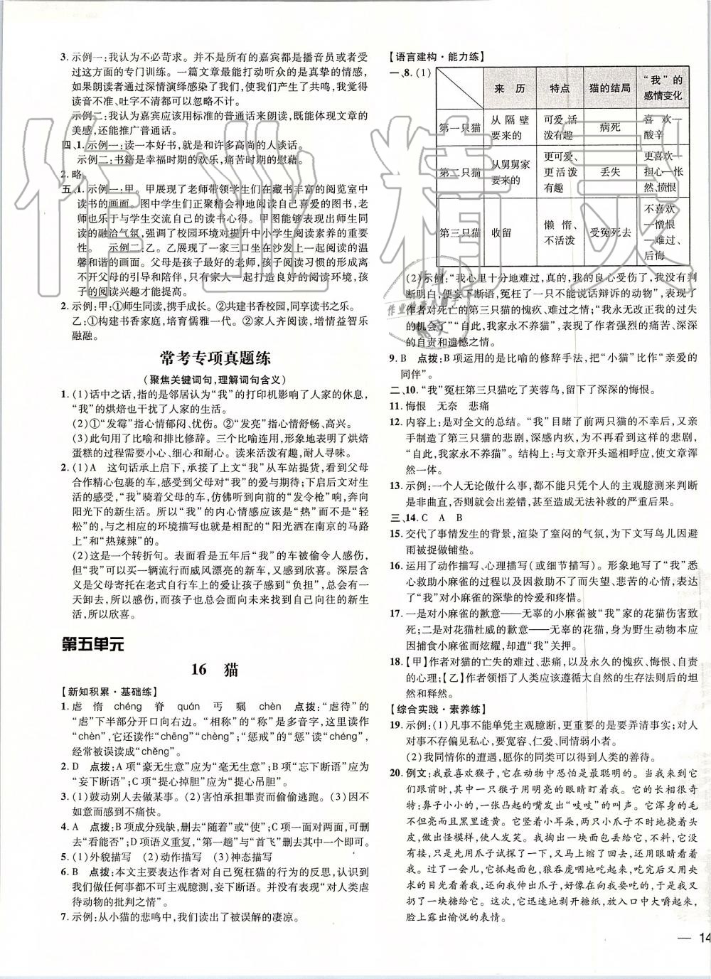 2019年點(diǎn)撥訓(xùn)練七年級(jí)語(yǔ)文上冊(cè)人教版 第15頁(yè)