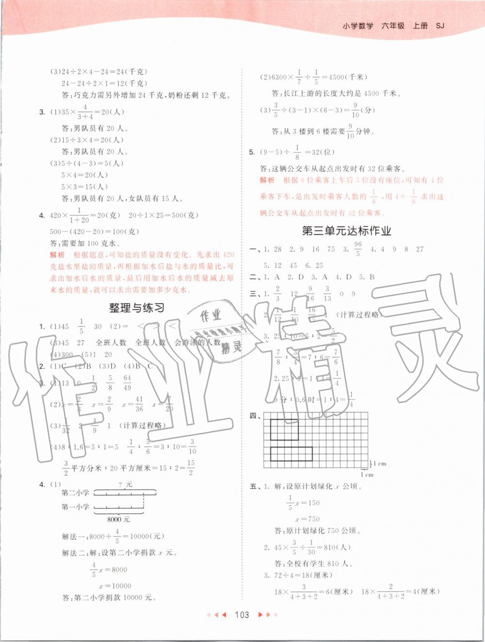 2019年53天天练小学数学六年级上册苏教版 第11页