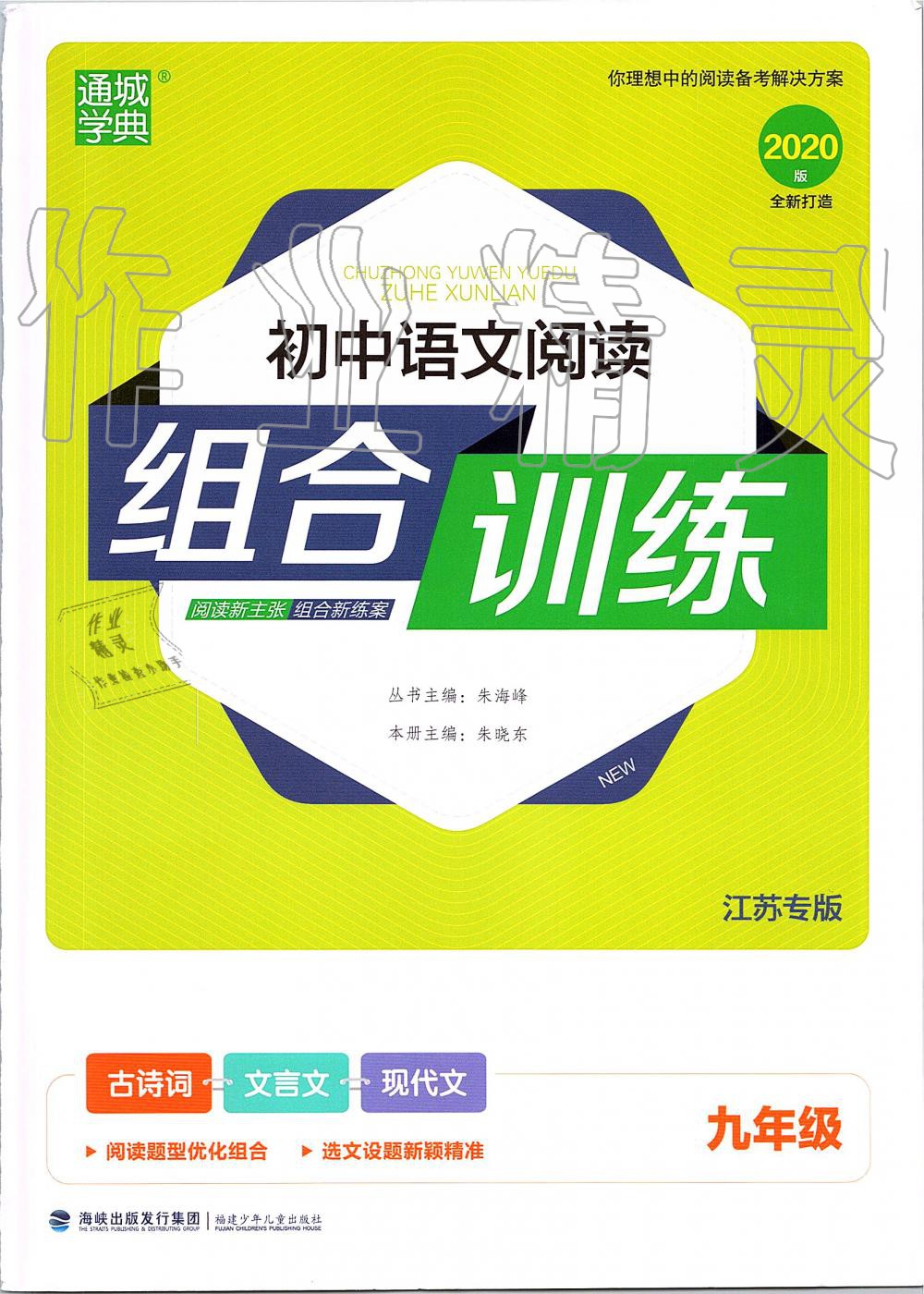 2019年通城学典初中语文阅读组合训练九年级全一册江苏专版