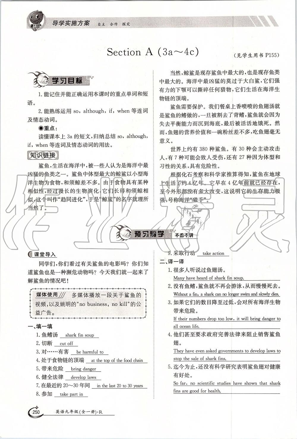 2019年金太陽導(dǎo)學(xué)案九年級英語全一冊人教版 第250頁