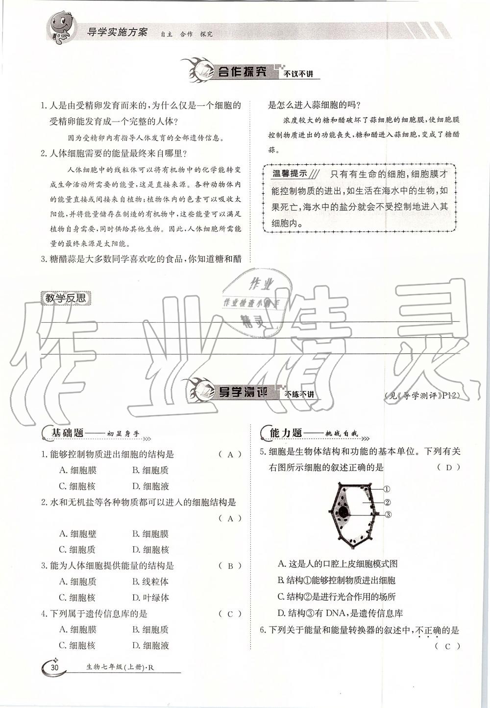 2019年金太陽導學案七年級生物上冊人教版 第30頁