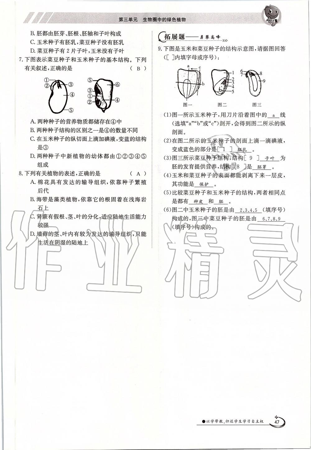 2019年金太陽(yáng)導(dǎo)學(xué)案七年級(jí)生物上冊(cè)人教版 第47頁(yè)