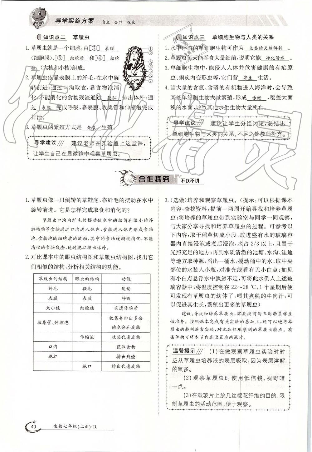 2019年金太陽(yáng)導(dǎo)學(xué)案七年級(jí)生物上冊(cè)人教版 第40頁(yè)