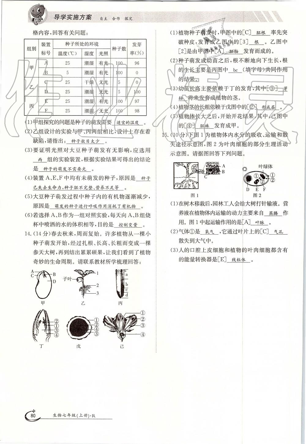 2019年金太陽導(dǎo)學(xué)案七年級(jí)生物上冊(cè)人教版 第80頁