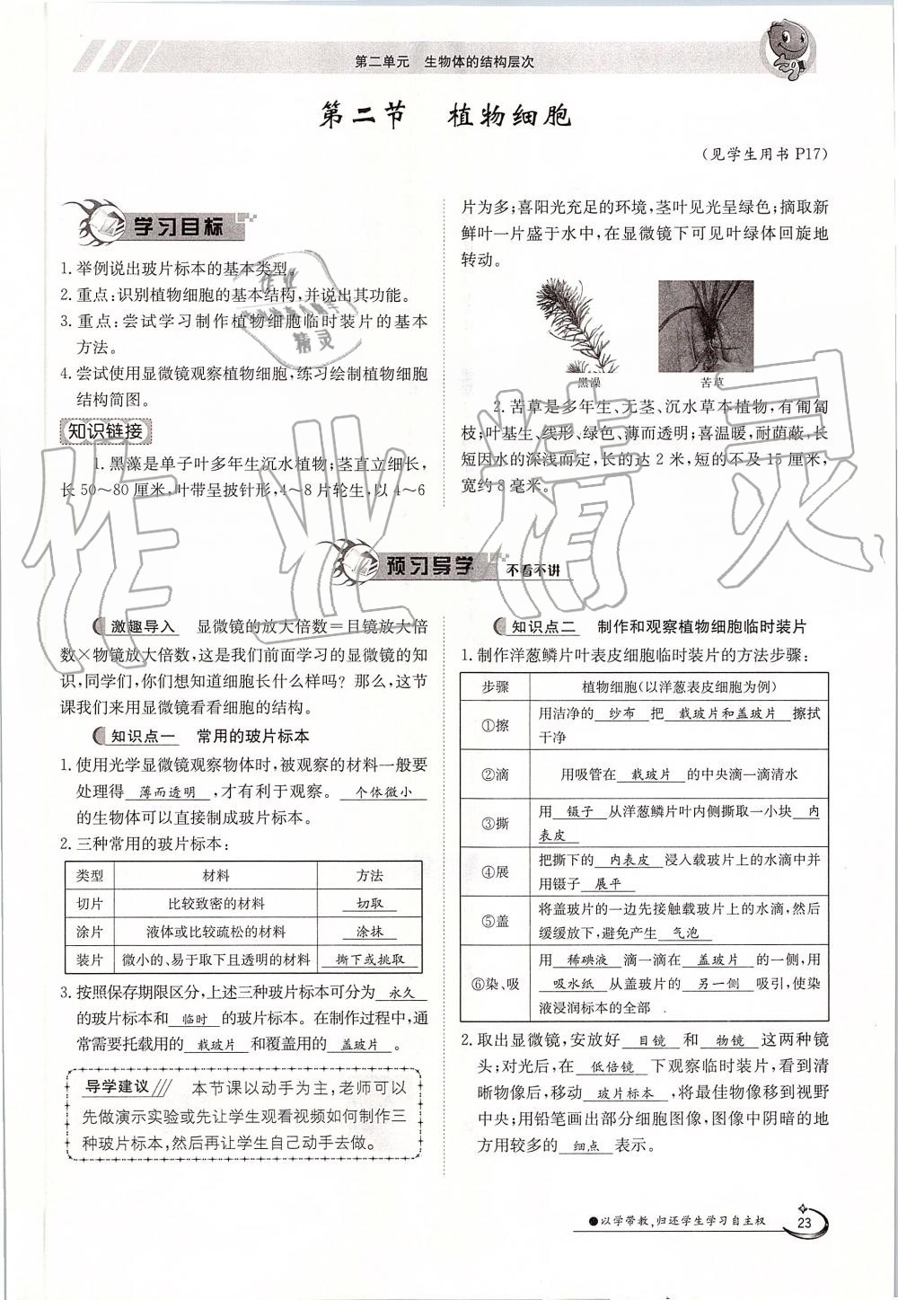 2019年金太陽導(dǎo)學(xué)案七年級(jí)生物上冊人教版 第23頁