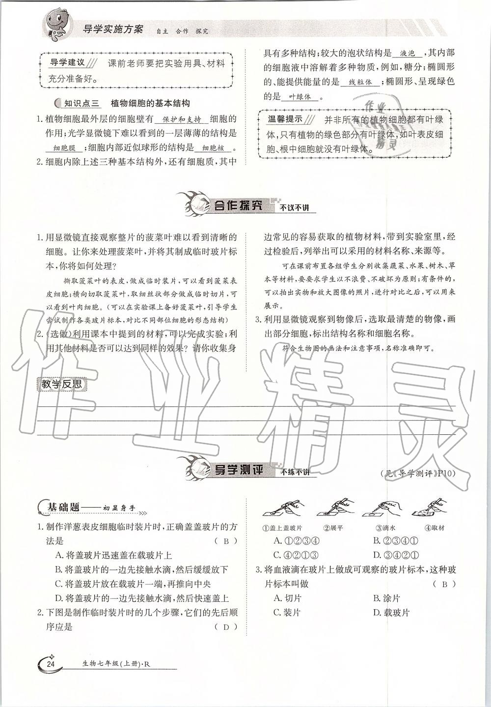 2019年金太陽(yáng)導(dǎo)學(xué)案七年級(jí)生物上冊(cè)人教版 第24頁(yè)