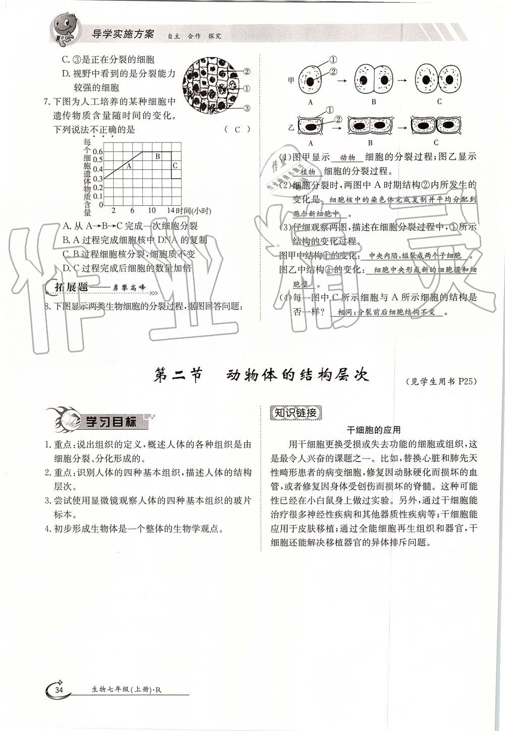 2019年金太陽導學案七年級生物上冊人教版 第34頁