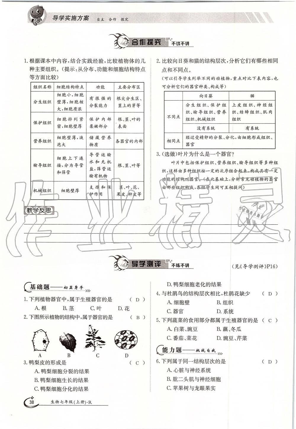 2019年金太陽(yáng)導(dǎo)學(xué)案七年級(jí)生物上冊(cè)人教版 第38頁(yè)