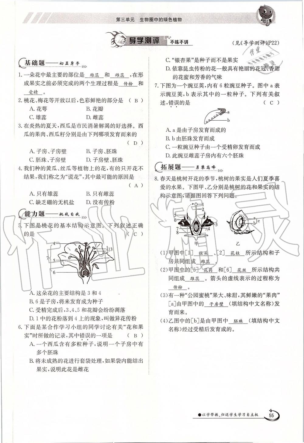 2019年金太陽導(dǎo)學(xué)案七年級(jí)生物上冊(cè)人教版 第55頁