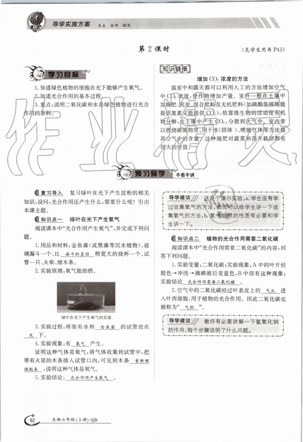 2019年金太陽(yáng)導(dǎo)學(xué)案七年級(jí)生物上冊(cè)蘇教版 第62頁(yè)