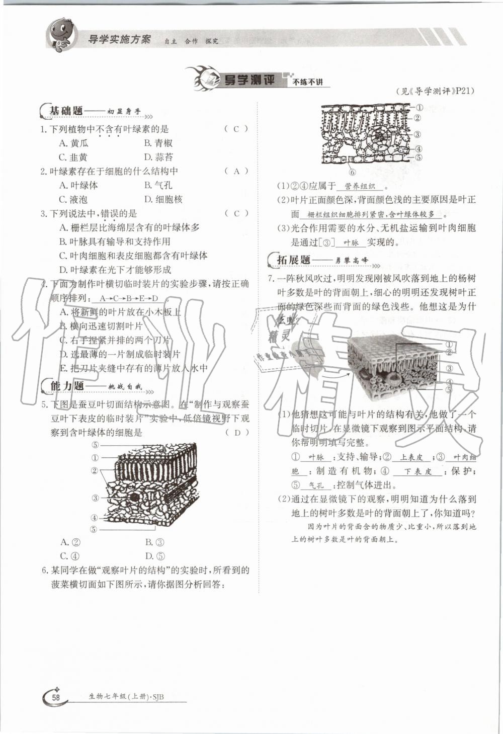 2019年金太陽(yáng)導(dǎo)學(xué)案七年級(jí)生物上冊(cè)蘇教版 第58頁(yè)