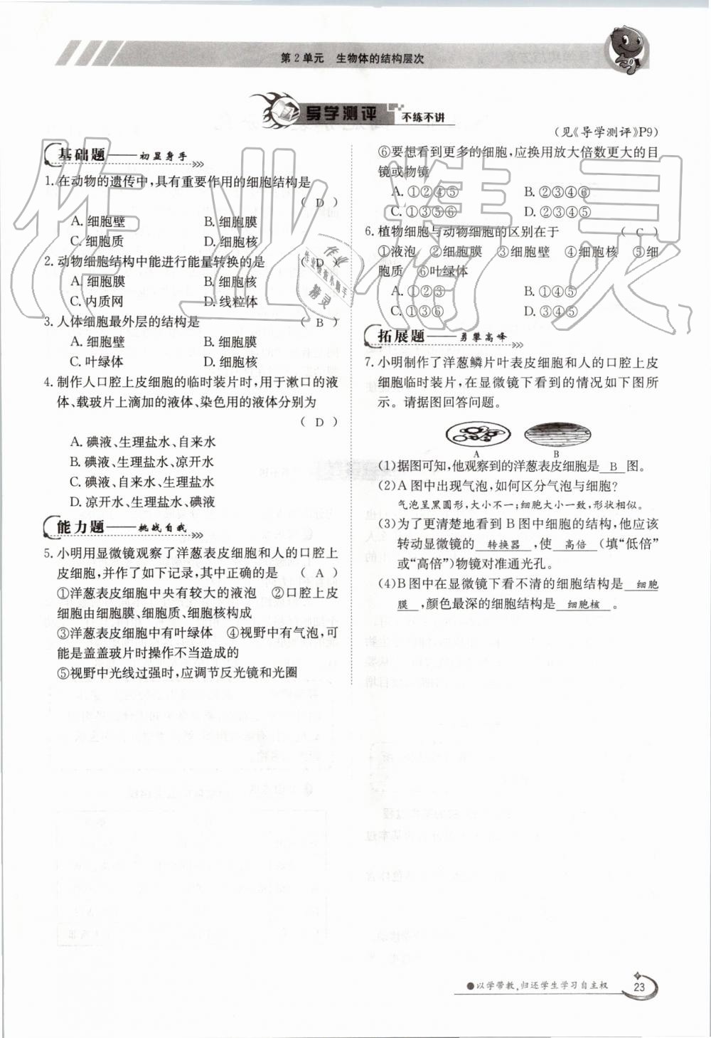 2019年金太陽導學案七年級生物上冊蘇教版 第23頁