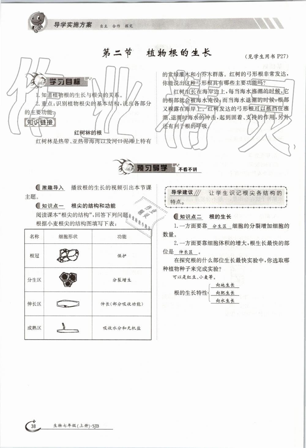 2019年金太陽導學案七年級生物上冊蘇教版 第38頁