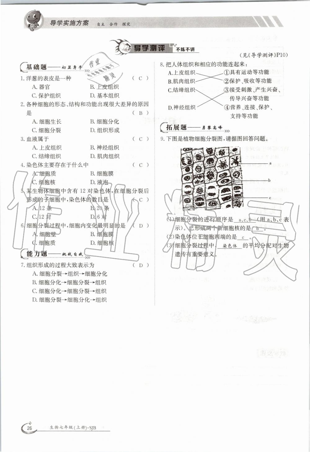 2019年金太陽導學案七年級生物上冊蘇教版 第26頁