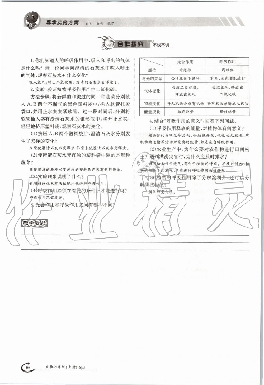 2019年金太陽導學案七年級生物上冊蘇教版 第66頁