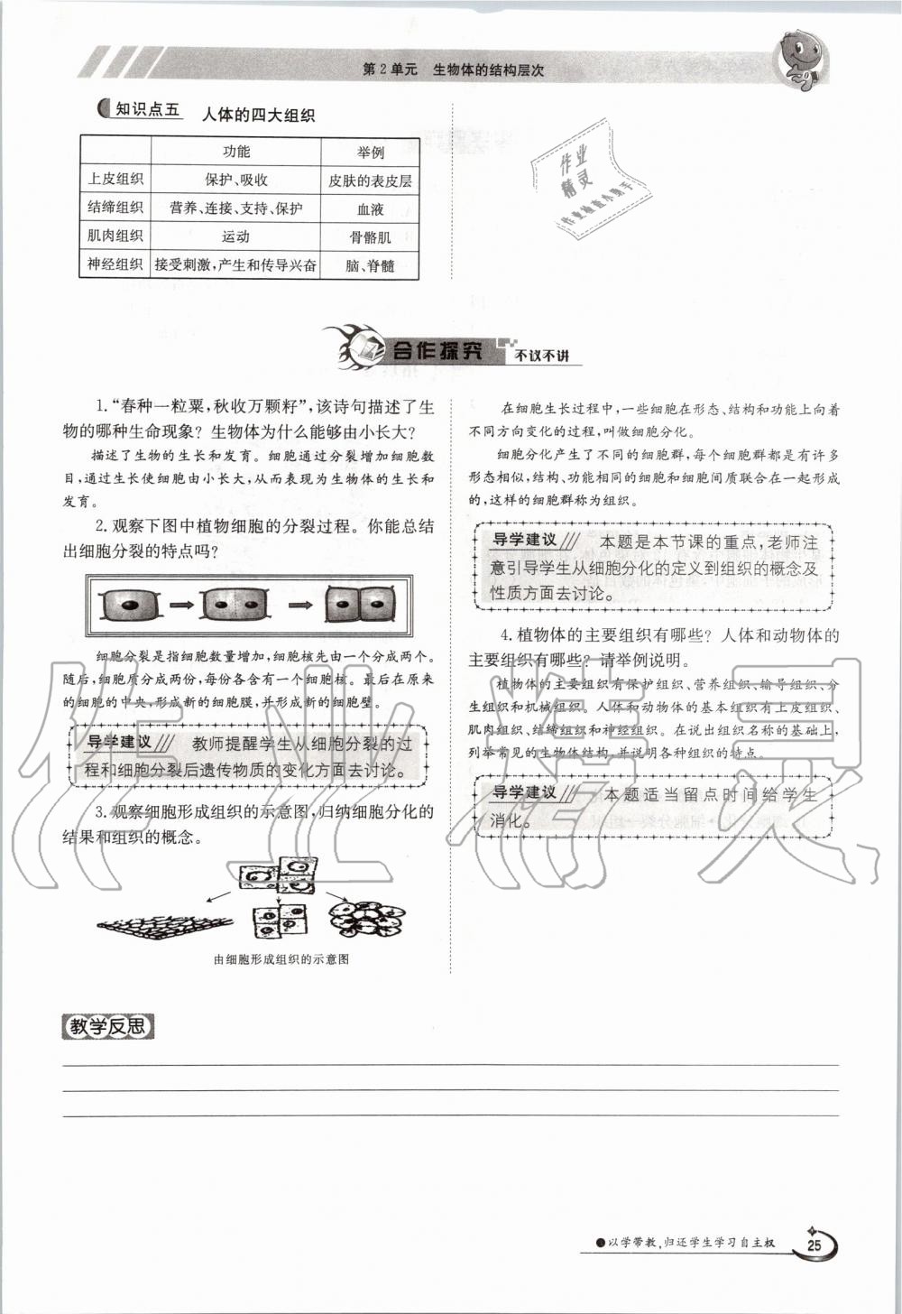 2019年金太陽導(dǎo)學(xué)案七年級生物上冊蘇教版 第25頁