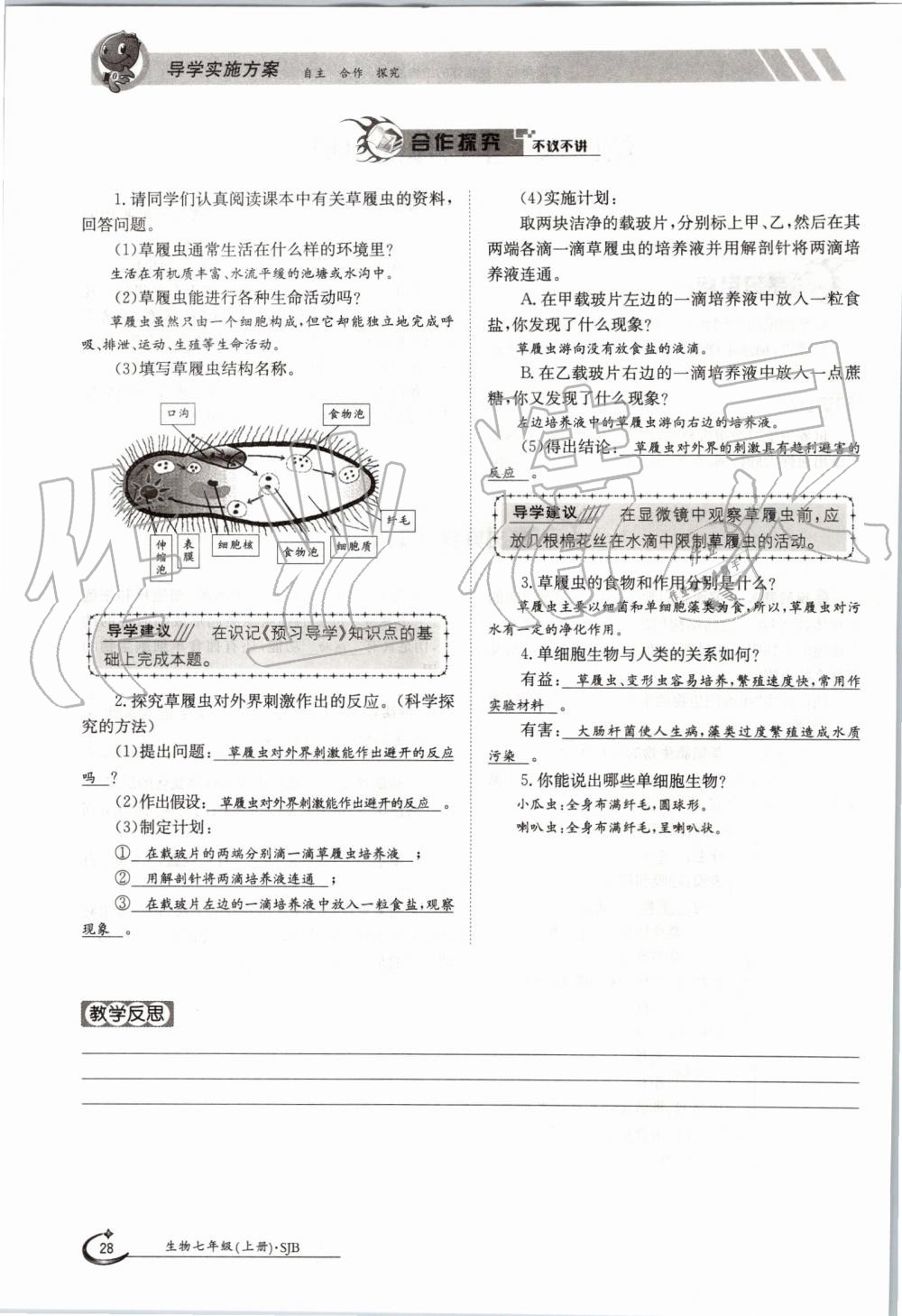 2019年金太陽導(dǎo)學(xué)案七年級(jí)生物上冊蘇教版 第28頁