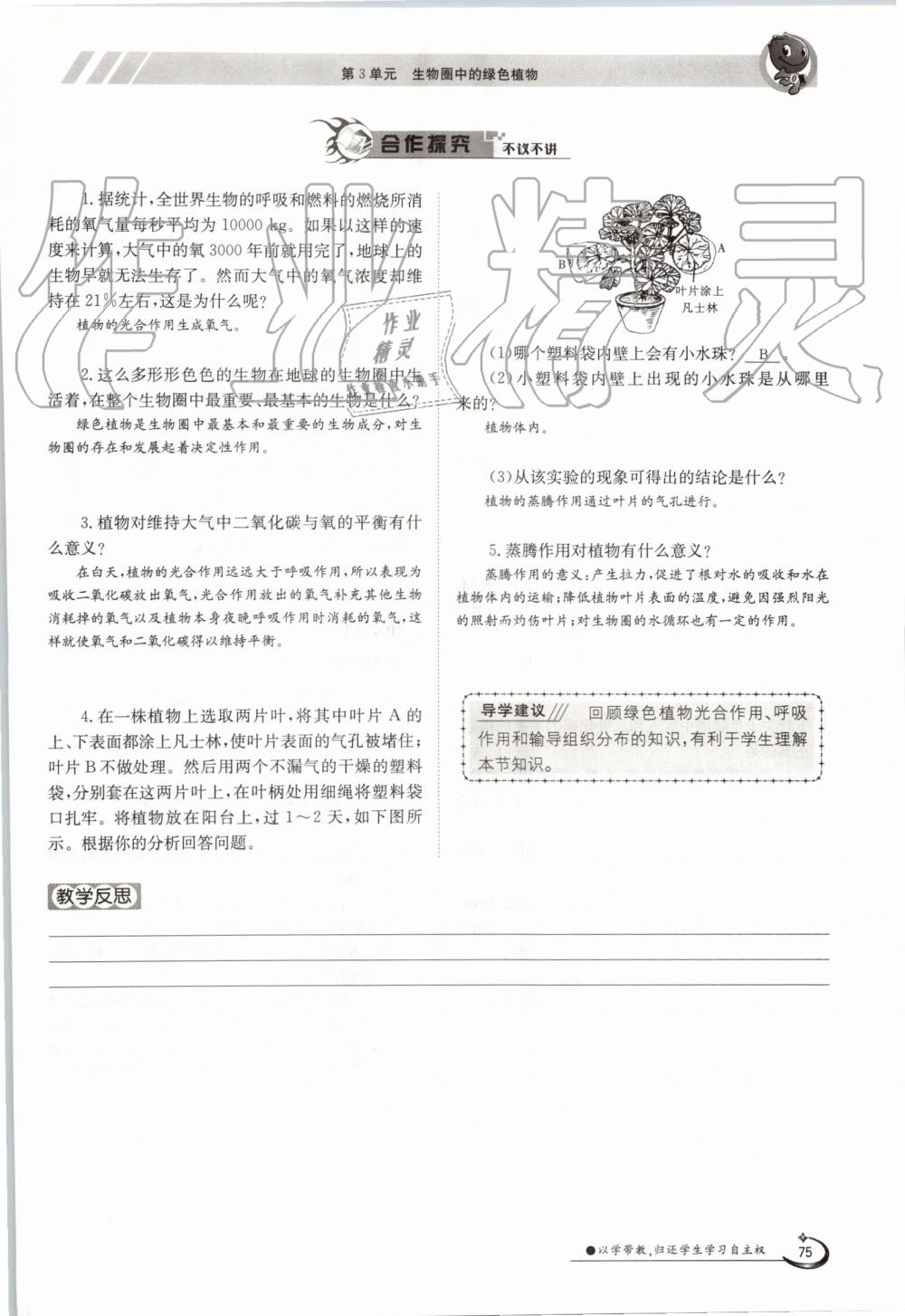 2019年金太陽導(dǎo)學(xué)案七年級(jí)生物上冊蘇教版 第75頁