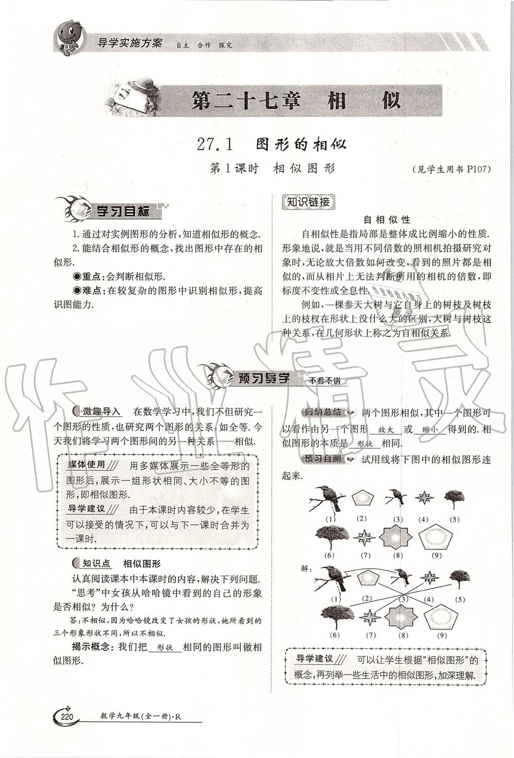 2019年金太陽導(dǎo)學(xué)案九年級數(shù)學(xué)全一冊人教版 第220頁