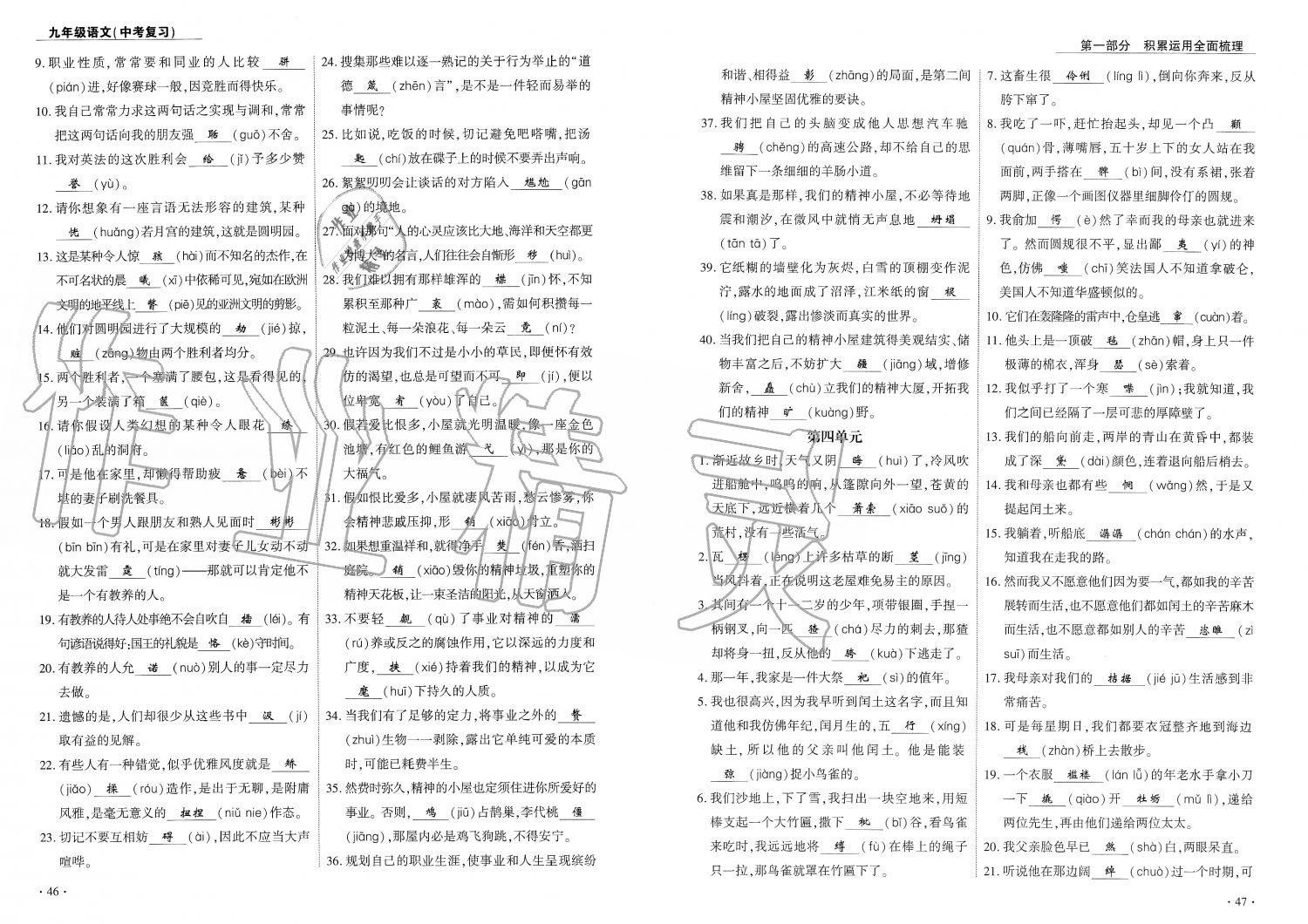 2019年蓉城优课堂给力A加九年级语文中考复习 第24页