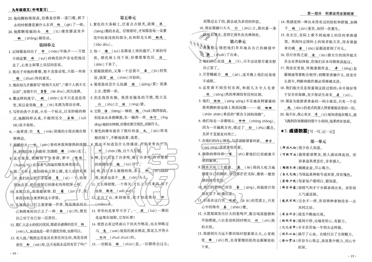 2019年蓉城優(yōu)課堂給力A加九年級(jí)語(yǔ)文中考復(fù)習(xí) 第8頁(yè)