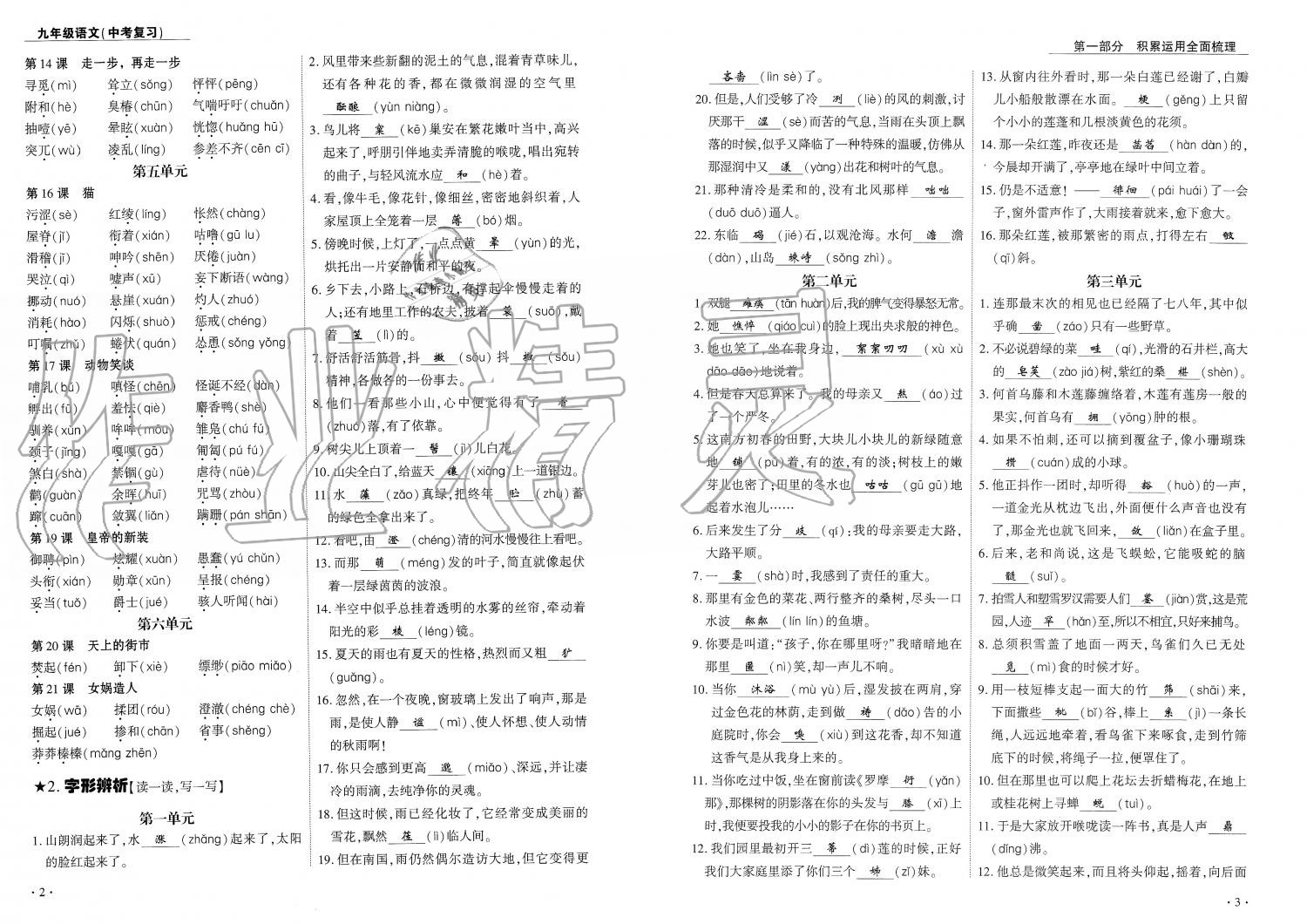 2019年蓉城優(yōu)課堂給力A加九年級語文中考復(fù)習(xí) 第2頁