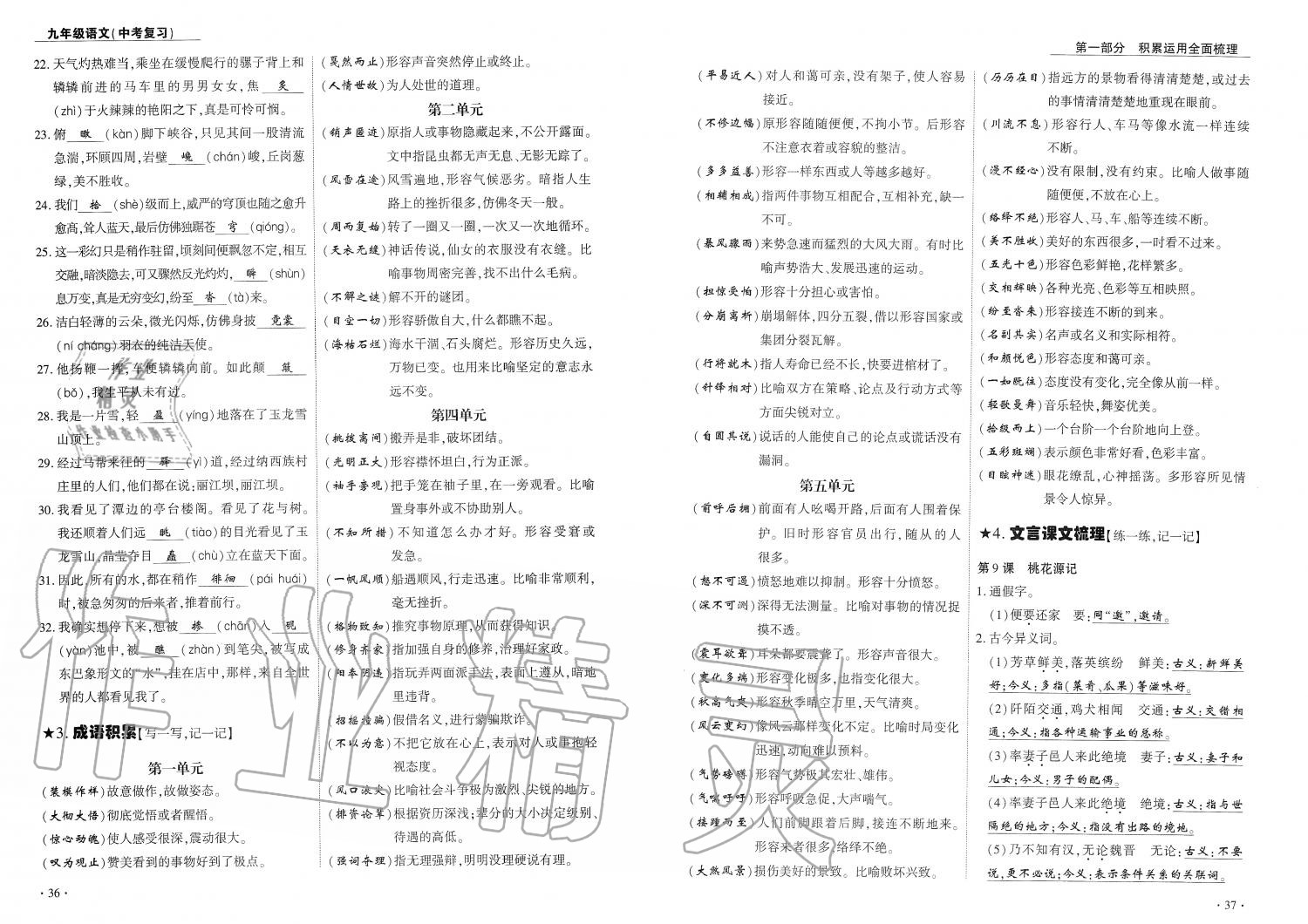 2019年蓉城优课堂给力A加九年级语文中考复习 第19页