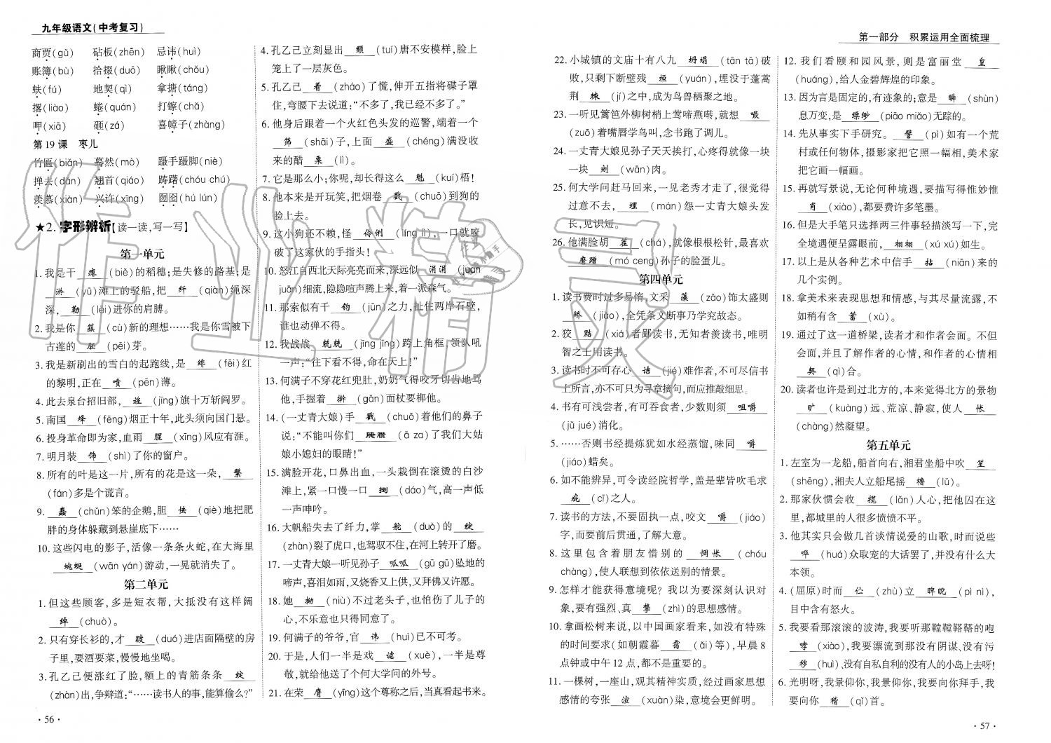 2019年蓉城优课堂给力A加九年级语文中考复习 第29页