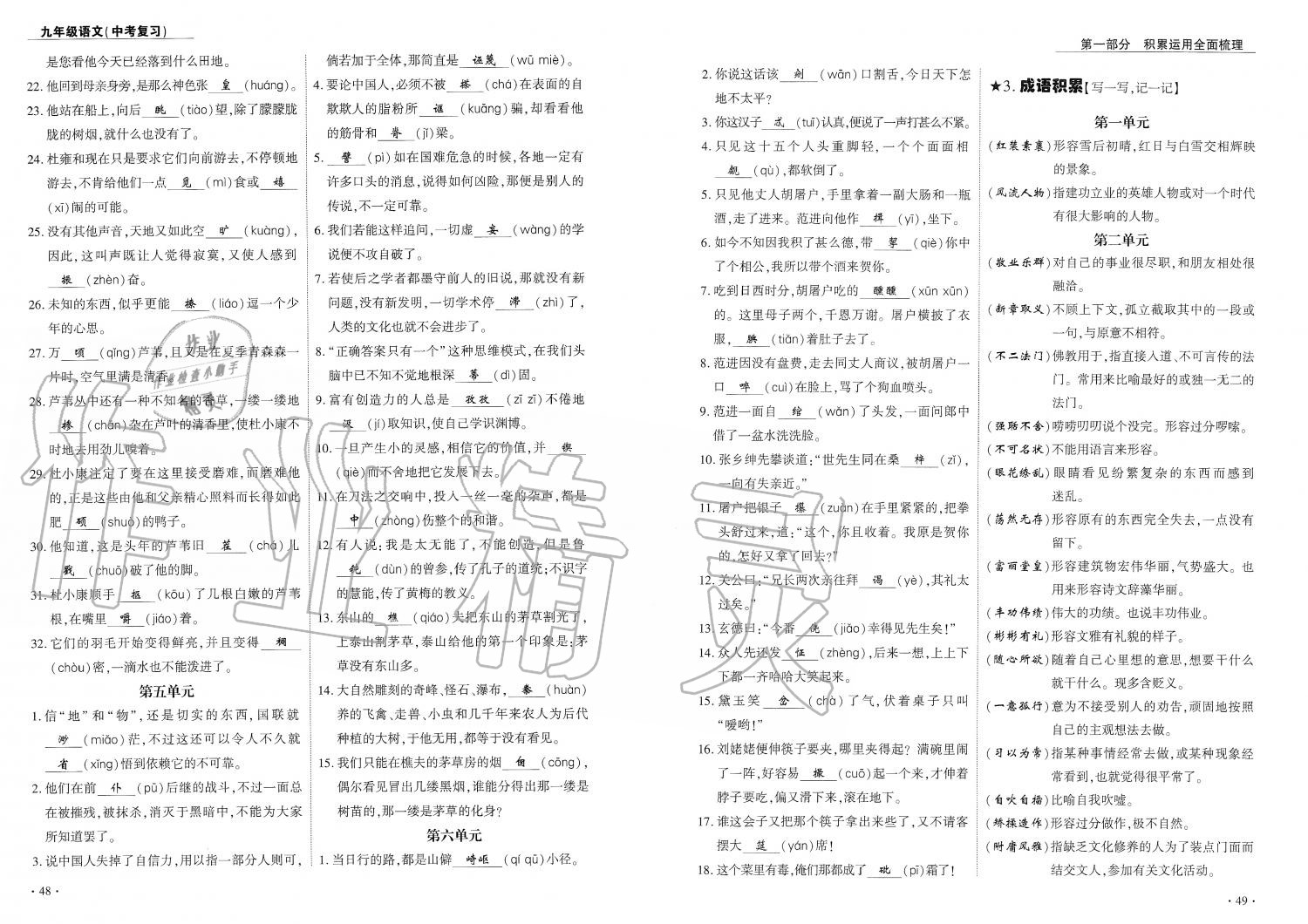 2019年蓉城优课堂给力A加九年级语文中考复习 第25页