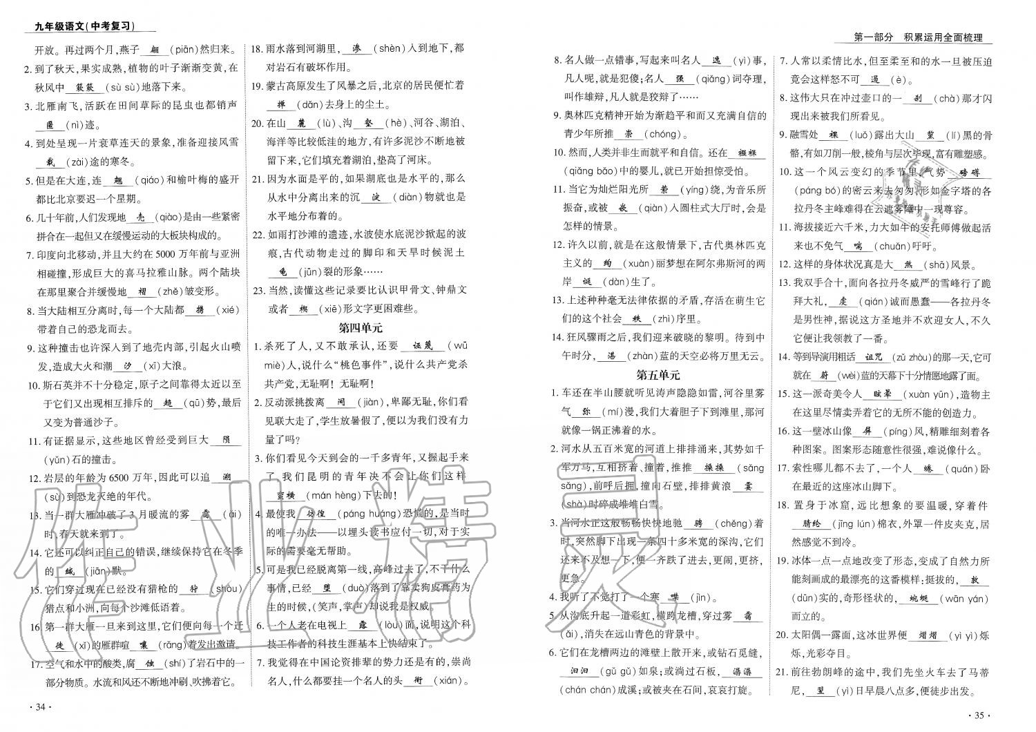 2019年蓉城优课堂给力A加九年级语文中考复习 第18页