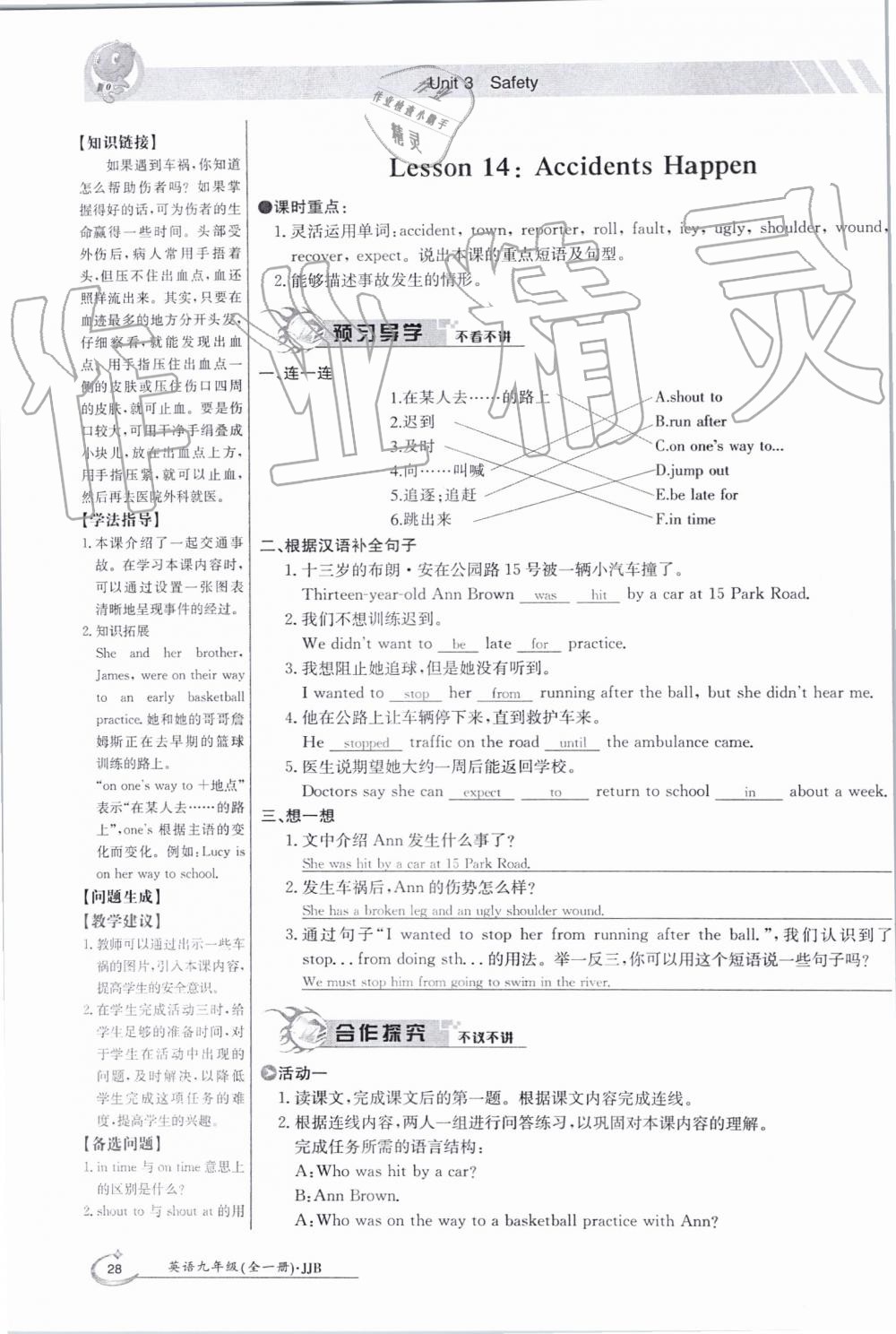 2019年金太陽導學案九年級英語全一冊冀教版 第28頁