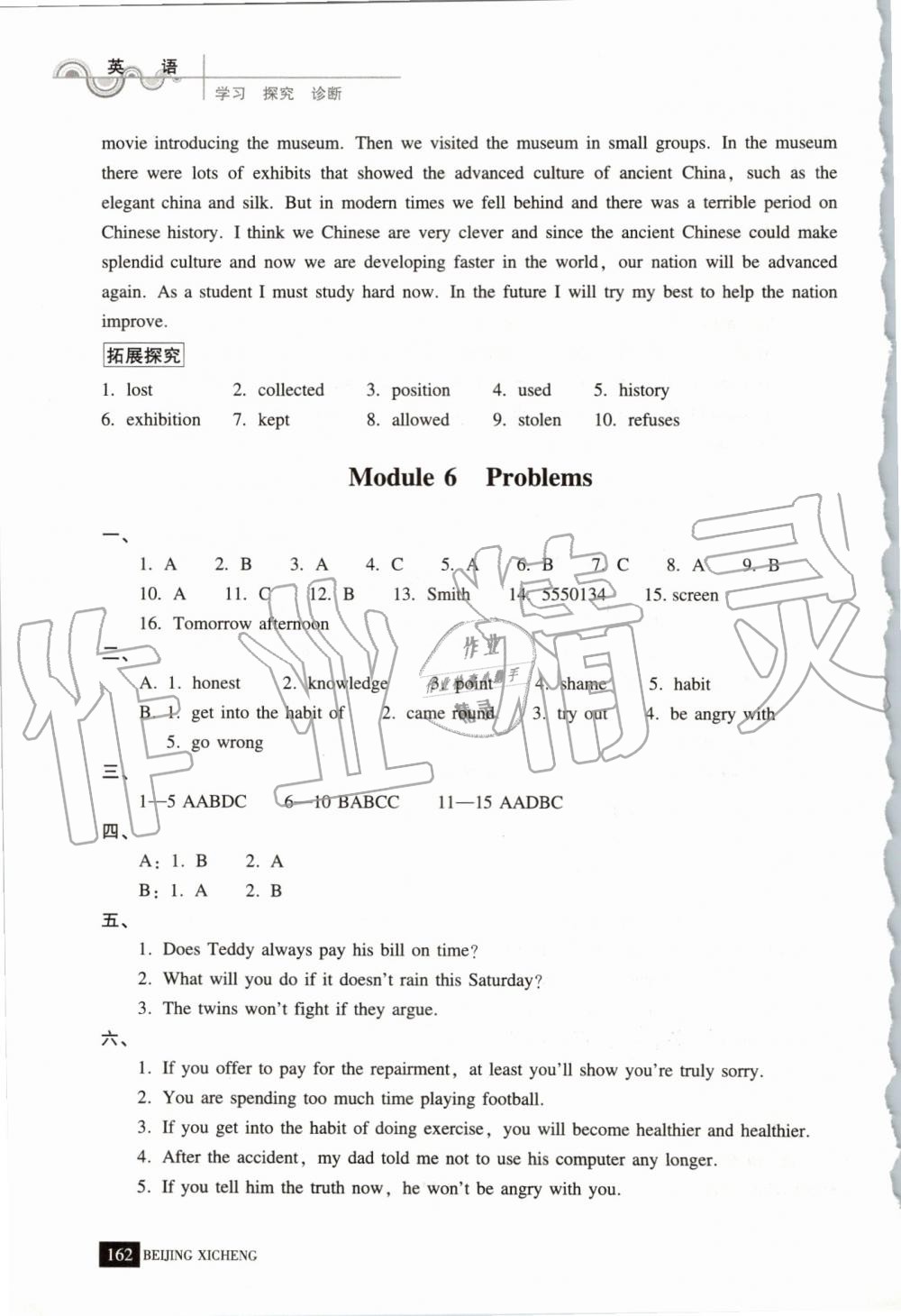 2019年學(xué)習(xí)探究診斷九年級(jí)英語(yǔ)上冊(cè)外研版 第10頁(yè)