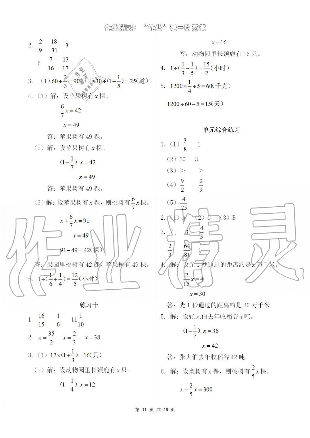 2019年数学作业本六年级上册人教版浙江教育出版社 第11页
