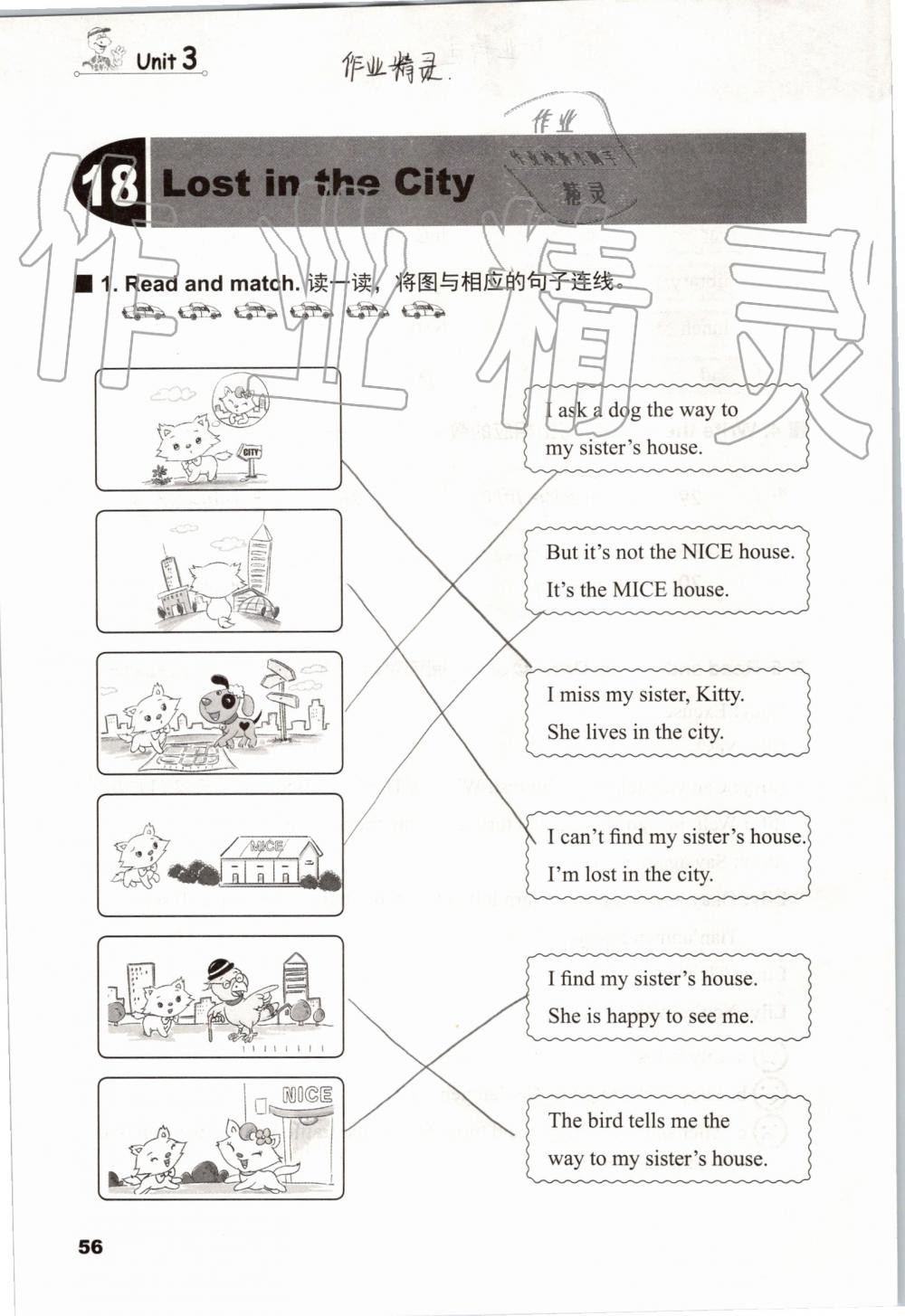 2019年同步练习册四年级英语上册冀教版三起河北教育出版社 第55页