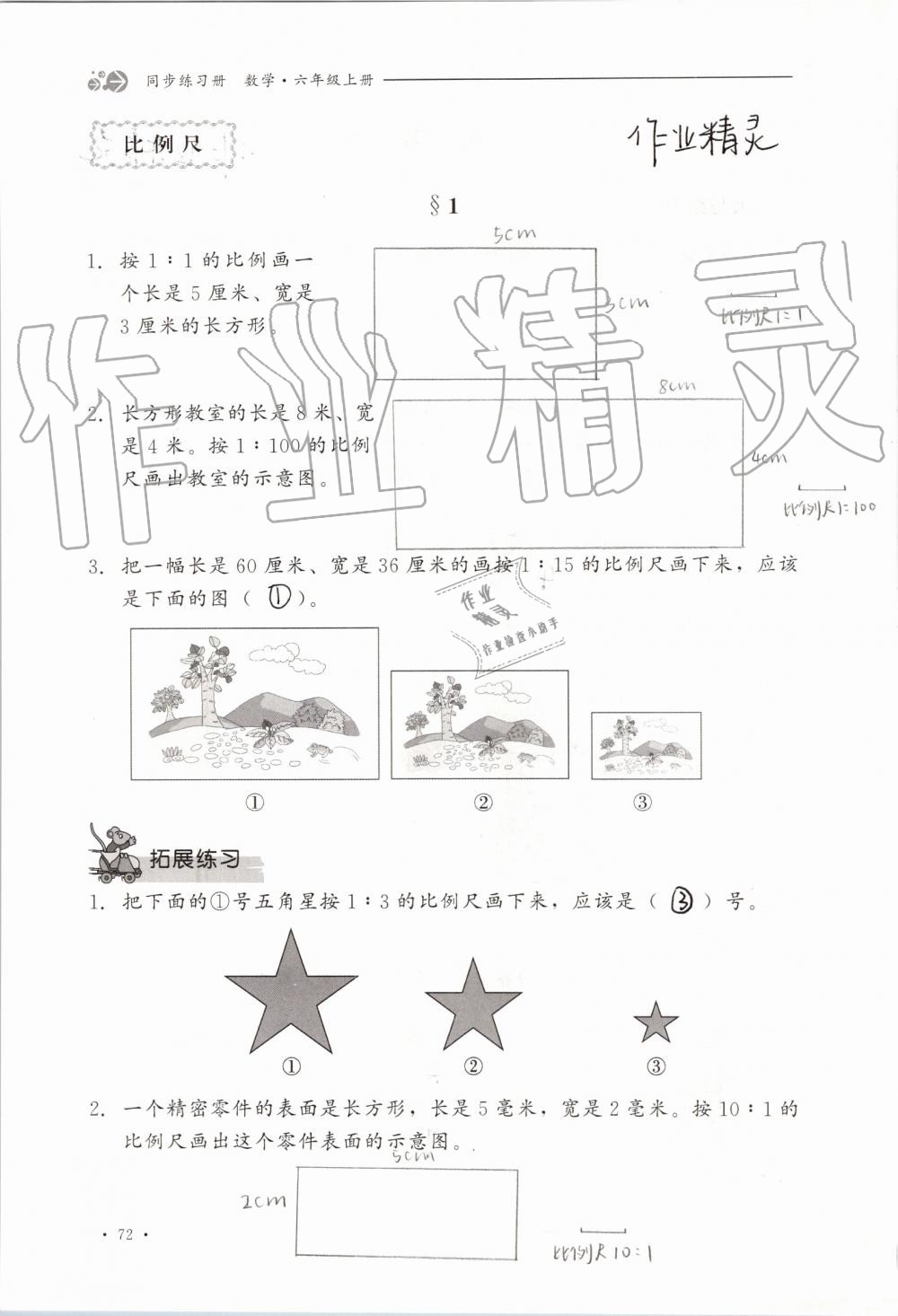 2019年同步练习册六年级数学上册冀教版河北教育出版社 第72页