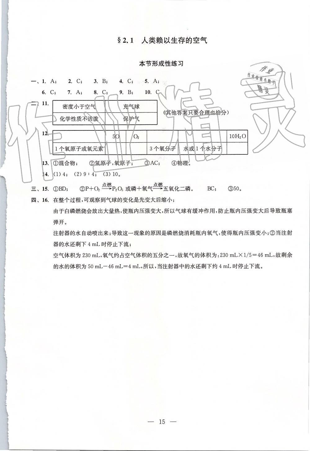2019年初中化学双基过关堂堂练九年级全一册沪教版 第15页