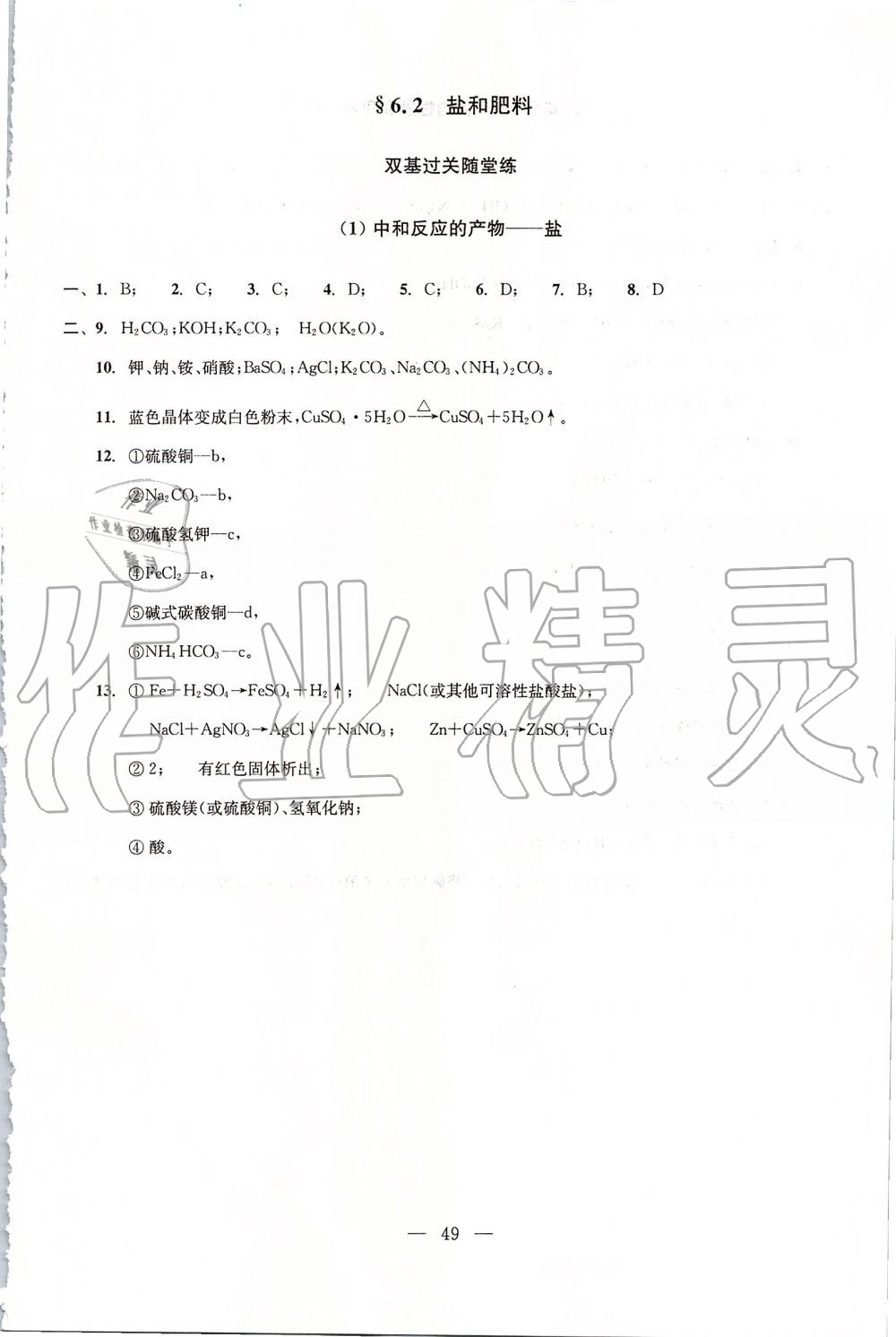 2019年初中化学双基过关堂堂练九年级全一册沪教版 第49页
